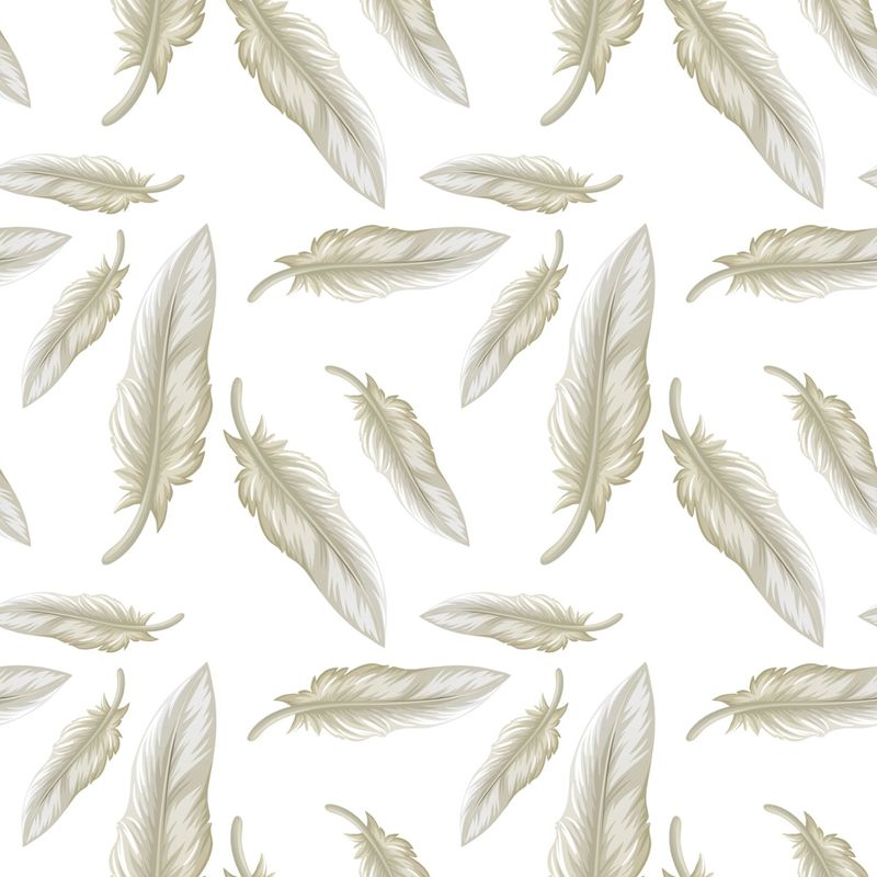 Estampa de papel de parede adesivo fundo branco com ilustração de penas