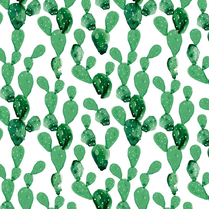 Papel de Parede Adesivo Floral Cactos Verdes